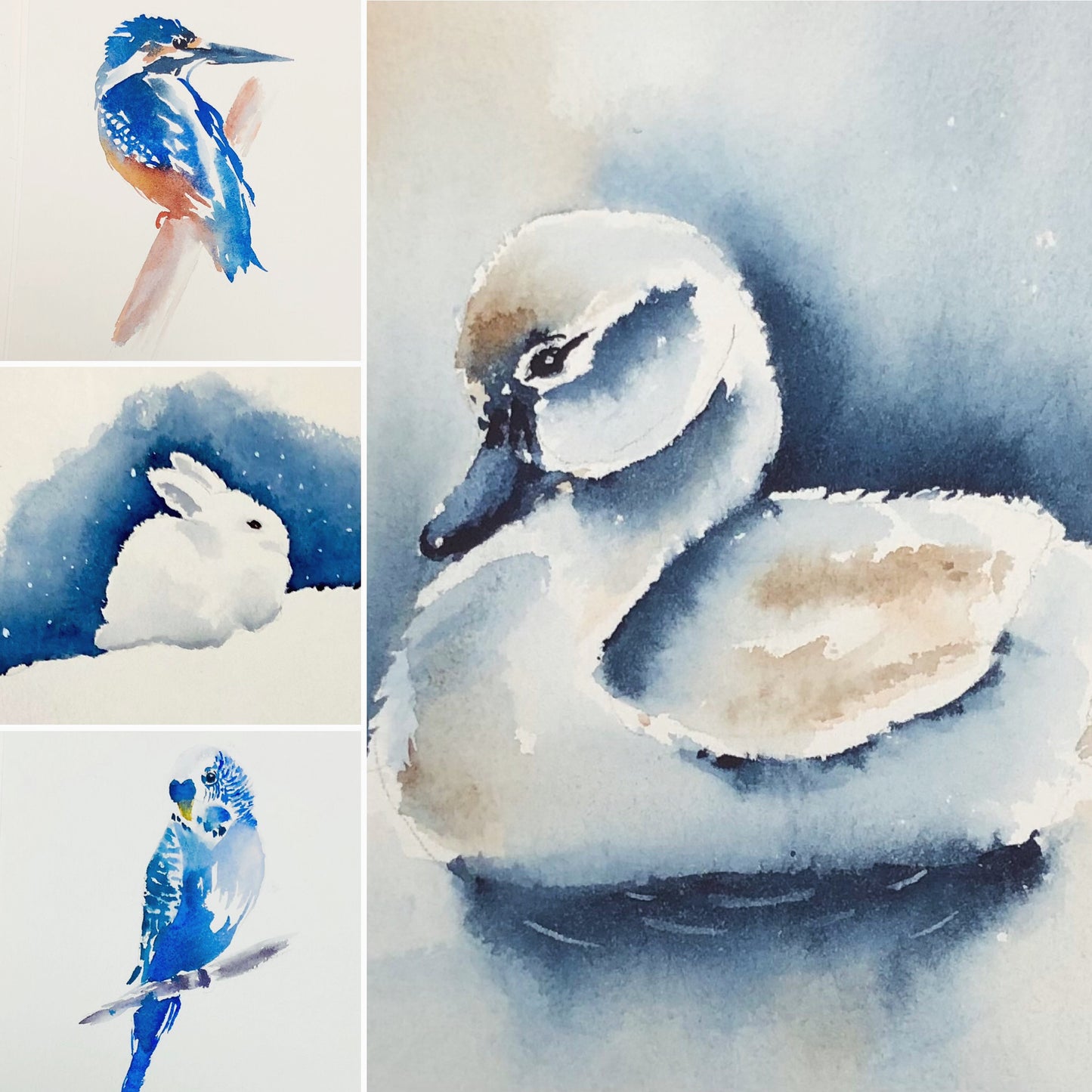 Vervolg Initiatiecursus Aquarel - Vanaf 29 februari