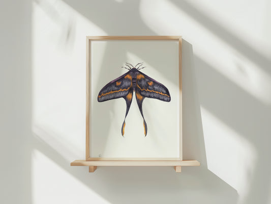 Aquarel Print 011