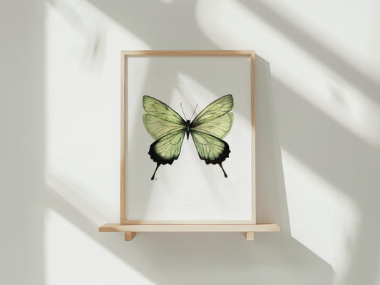 Aquarel Print 007