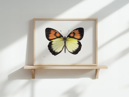 Aquarel Print 014