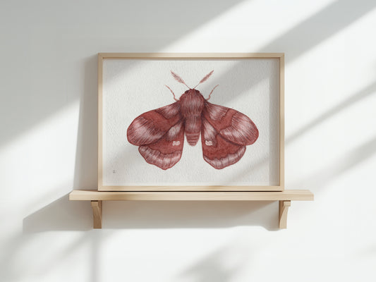 Aquarel Print 003